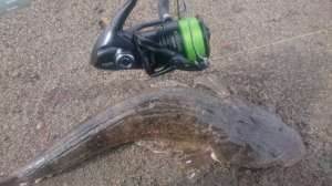 17����������4000MXG