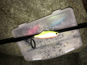 �������С�