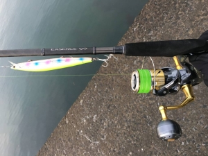 ���������� ����ե��˥ƥ�