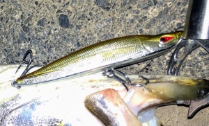 ��������ڥ� 95mm 16g ����