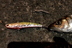 �����᥿��Х��� 9.5cm 26g