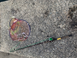 ���������ѡ���Ȥ�����