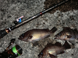 �ե��ͥåĥ�Neo��GOFES-732UL-DS