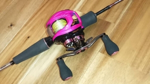 �Ȳ�TW �ϥ��ѡ���������