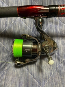 ���ԥ˥󥰥꡼��