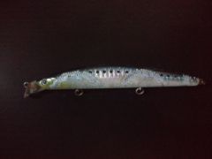 ���祢�饤�󥷥㥤�ʡ� R50 SSR