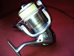 03�ʥ�5000