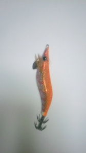 ������Q Live 2.5��BASIC(10g)