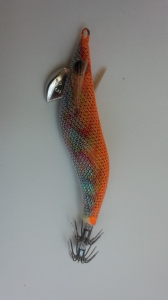 ������Q Live 2.5��BASIC(10g)