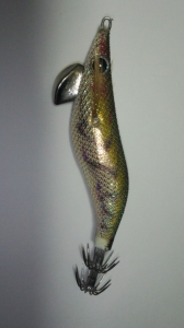 ������Q Live 2.5��BASIC(10g)