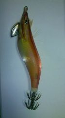 ��������Q Live 2.5��BASIC(10g)