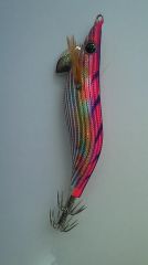 ������Q Live 2.5��BASIC(10g)