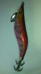 ������Q Live 2.5��BASIC(10g)