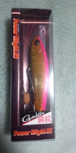 �ѥ���饤��85