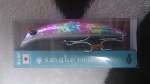 Sasuke100HS���� (�ԥ󥯥Хå������ǥ���)