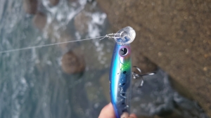 Kosuke130F(��å����亮)