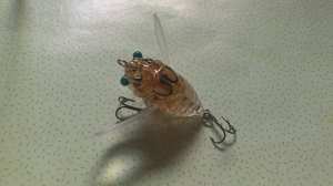 ����������2 �Х����塼��