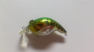 �Х��ϥ󥿡� R SSR