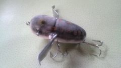 ���쥤�����������顼 �ե����ե��˥å���