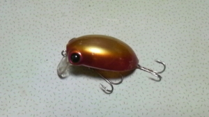 ���󥴡��� 45S