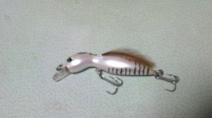 ����֥��Х�65