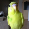 �ʤ����ʡ��ء��ġ˧�