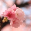 �륢���ޥ�26��
