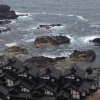 tomachi